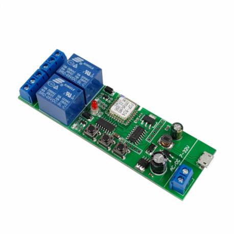 SmartWise 5V-32V 2-gangsmart relay switch, with drycontact and momentaryswitch, eWeLink / Sonoffcomp